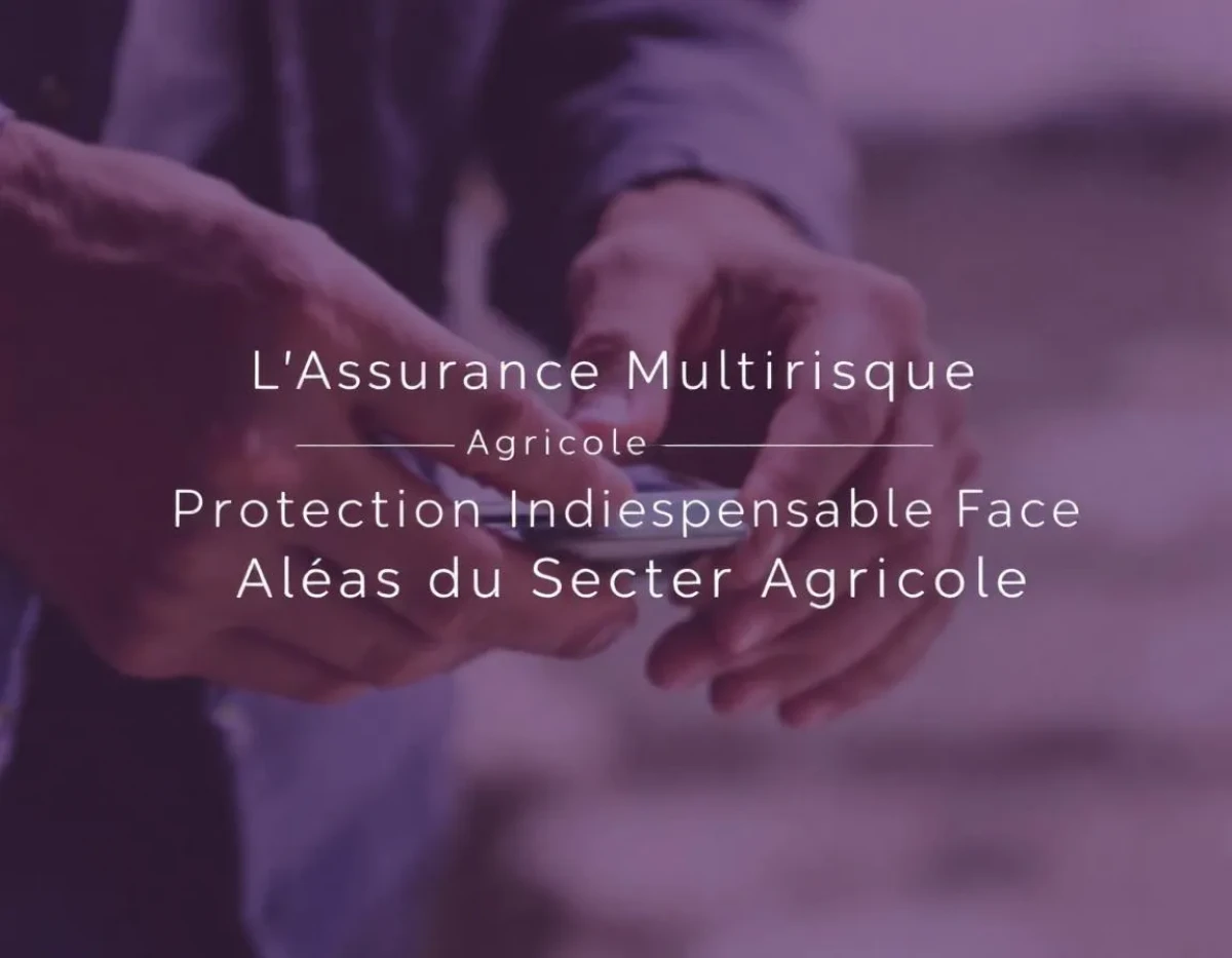 L'Assurance Multirisque Agricole : Protection Indispensable Face aux Aléas du Secteur Agricole